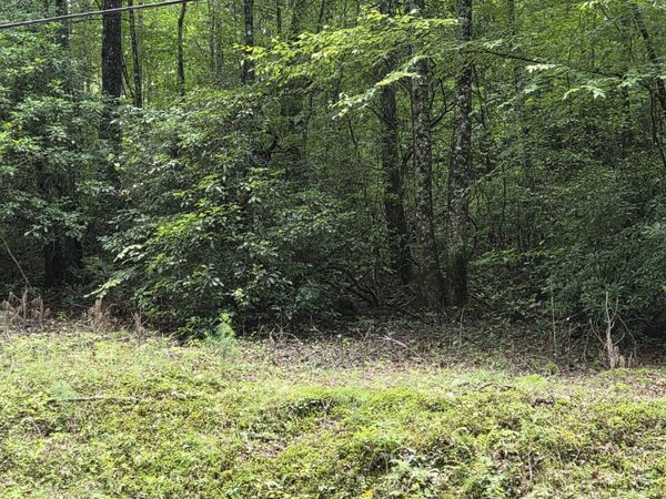 00 Chopped Oak, Ellijay, GA 30540