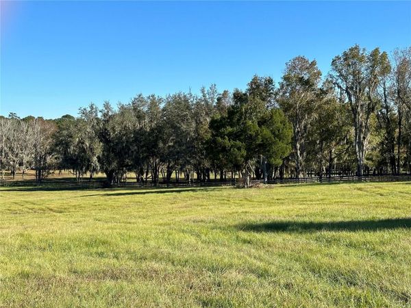 TBD HWY 329 , REDDICK, FL 32686