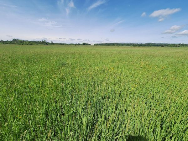 1035 N Poor Farm, Harrisville, MI 48740