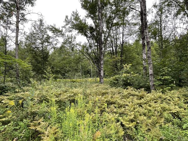 LOT 95 &96 Snowridge Drive, Elmira, MI 49730