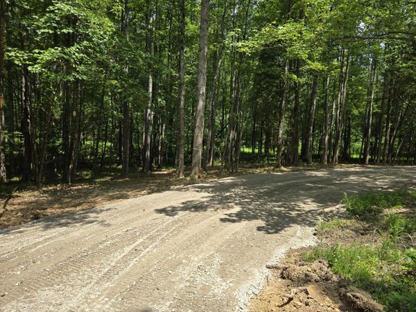 0 Webb Road, Unit 1, Summertown, TN 38483