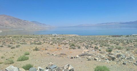 103 Shores Drive, Walker Lake, NV 89415 Photo