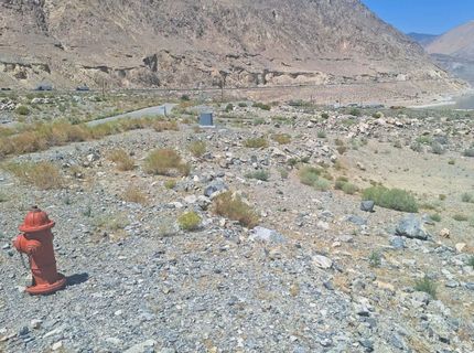 103 Shores Drive, Walker Lake, NV 89415 Photo