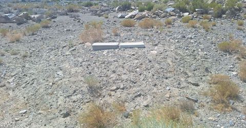 103 Shores Drive, Walker Lake, NV 89415 Photo