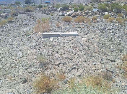 103 Shores Drive, Walker Lake, NV 89415 Photo