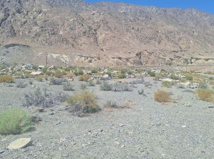 103 Shores Drive, Walker Lake, NV 89415 Photo