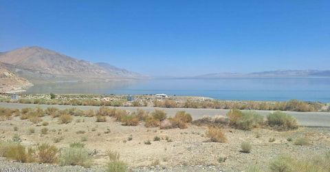 103 Shores Drive, Walker Lake, NV 89415 Photo