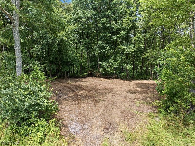 0 St Rt 164, Bergholz, OH 43908 Photo 20