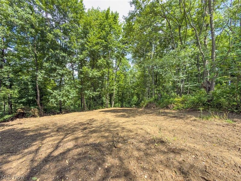 0 St Rt 164, Bergholz, OH 43908 Photo 22