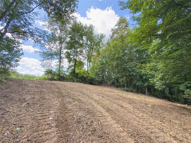 0 St Rt 164, Bergholz, OH 43908 Photo 23