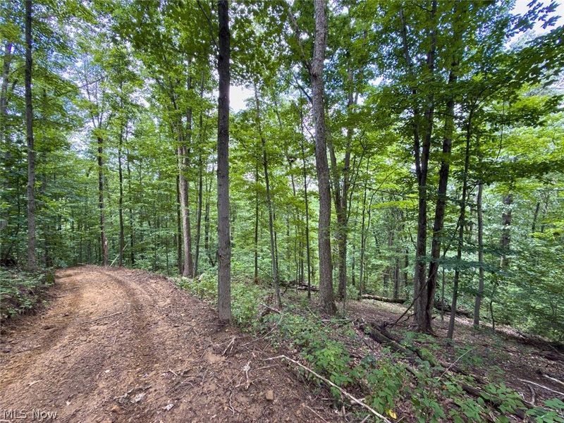 0 St Rt 164, Bergholz, OH 43908 Photo 29