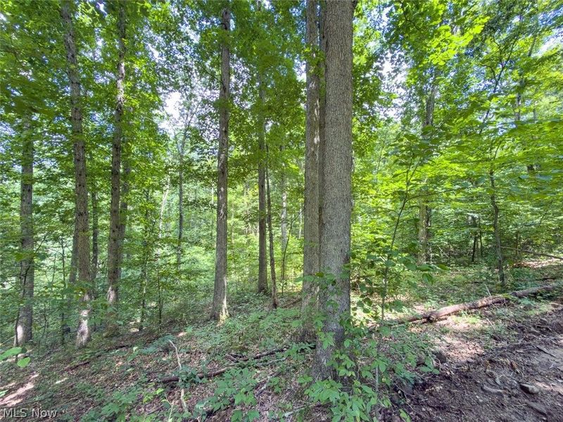 0 St Rt 164, Bergholz, OH 43908 Photo 35