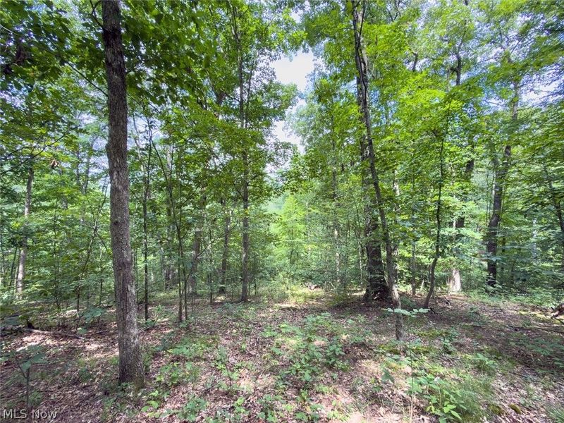 0 St Rt 164, Bergholz, OH 43908 Photo 36