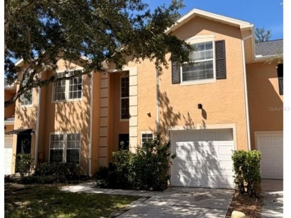 16320 PARKSTONE PALMS COURT , TAMPA, FL 33647
