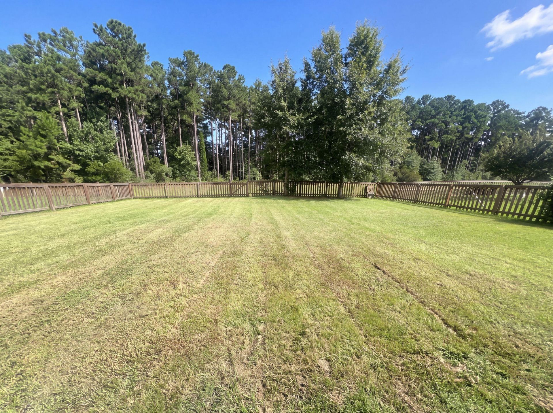 301 Decatur Drive Photo 37