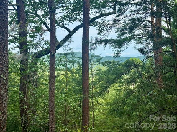 V/L Tahawus Drive , Bostic, NC 28018