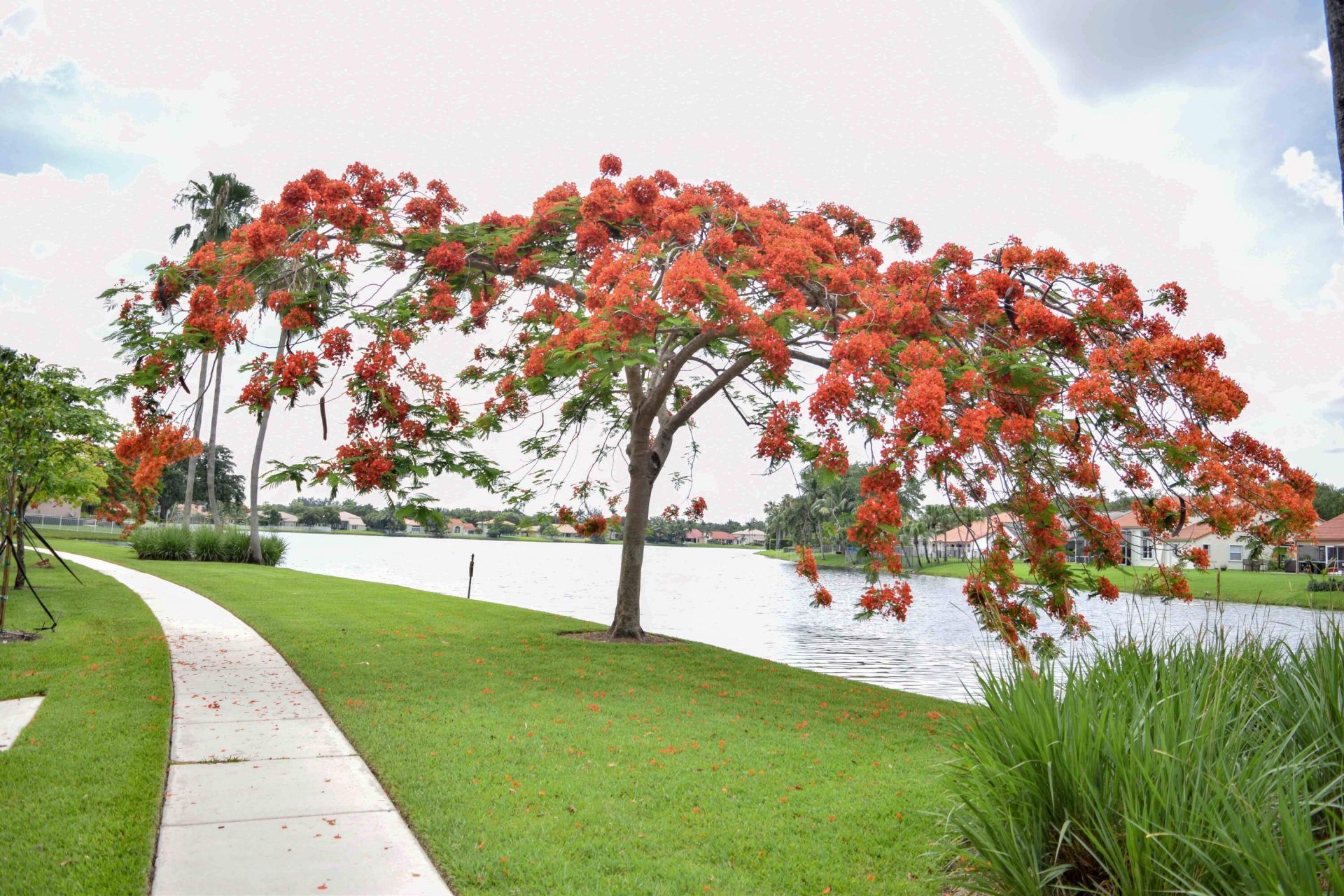3877 Bimini Avenue, Cooper City, FL 33026 Photo