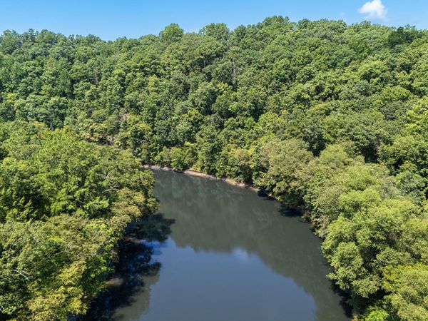 0 COUNTY ROAD 3905, Arley, AL 35541