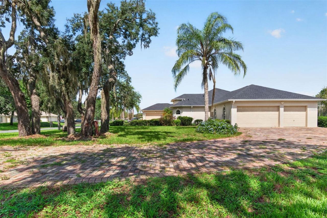 275 Planter Road, Spring Hill, FL 34606 Photo