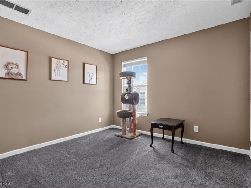 1823 Spruce Lane, Painesville Township, OH 44077 Photo 17