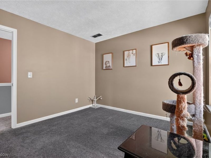 1823 Spruce Lane, Painesville Township, OH 44077 Photo 18