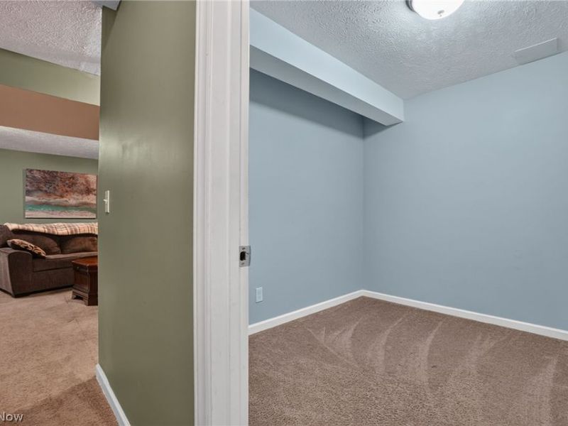 1823 Spruce Lane, Painesville Township, OH 44077 Photo 30