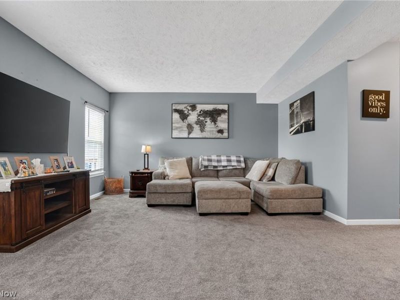 1823 Spruce Lane, Painesville Township, OH 44077 Photo 42