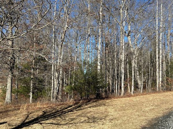 TBD Bear Den Road , Sparta, NC 28675