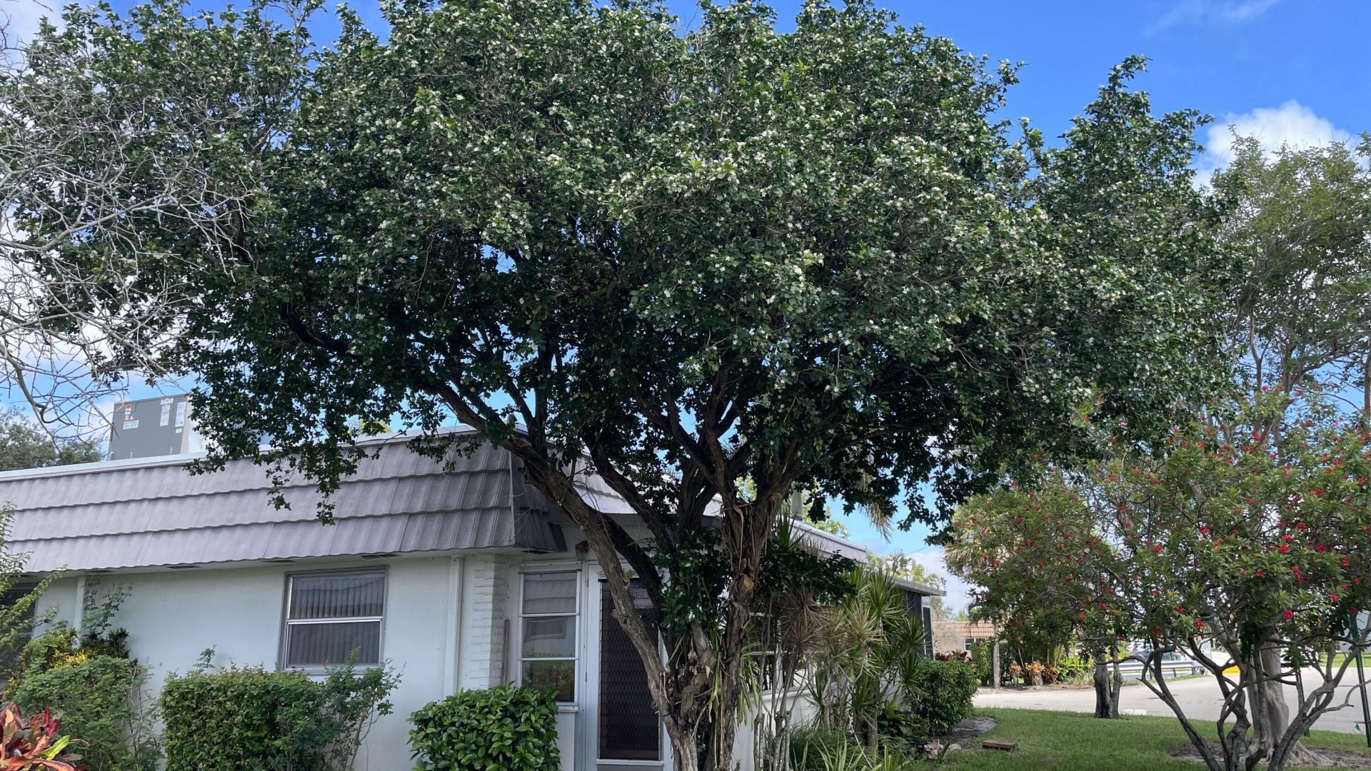 166 Valencia G Drive, Unit 166, Delray Beach, FL 33446 Photo