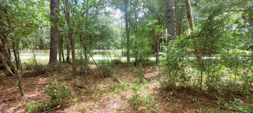 0 160th Terrace, Mc Alpin, FL 32062 Photo