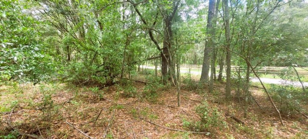0 160th Terrace, Mc Alpin, FL 32062 Photo