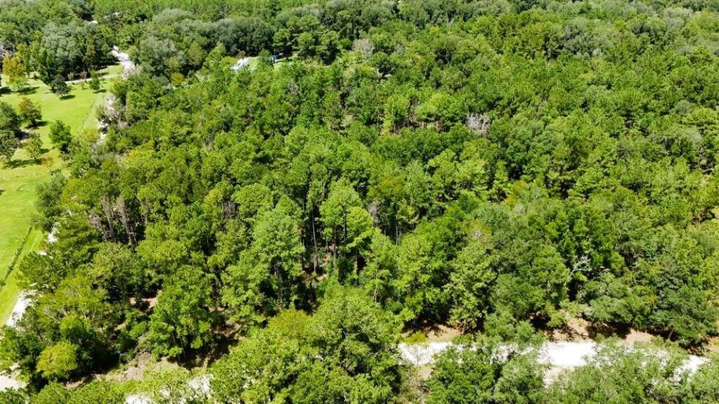 0 160th Terrace, Mc Alpin, FL 32062 Photo