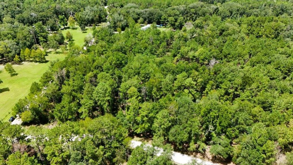 0 160th Terrace, Mc Alpin, FL 32062 Photo