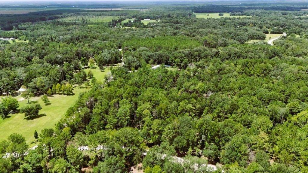 0 160th Terrace, Mc Alpin, FL 32062 Photo