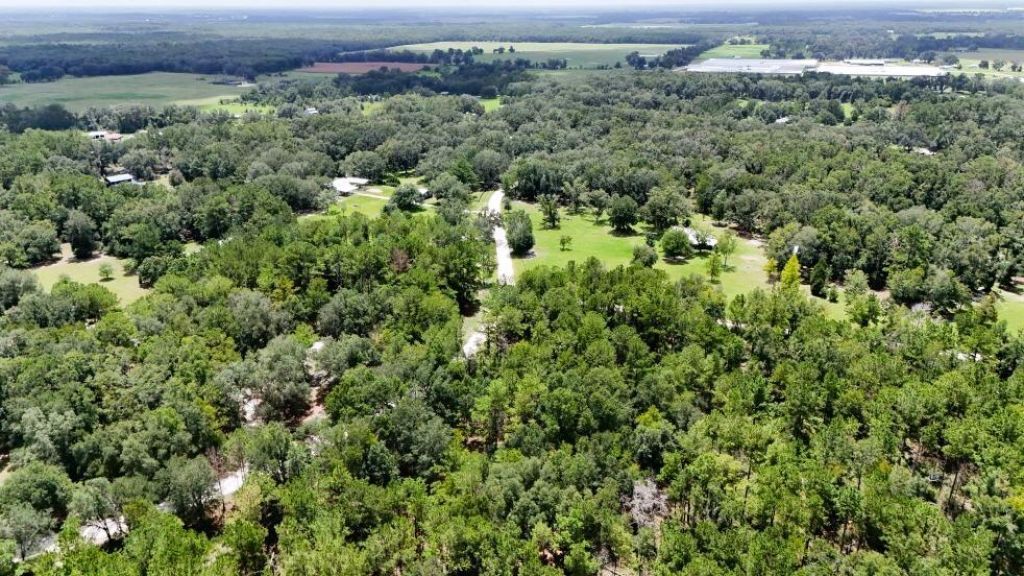 0 160th Terrace, Mc Alpin, FL 32062 Photo