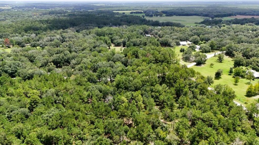 0 160th Terrace, Mc Alpin, FL 32062 Photo