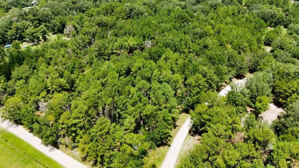 0 160th Terrace, Mc Alpin, FL 32062 Photo