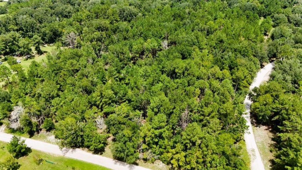 0 160th Terrace, Mc Alpin, FL 32062 Photo