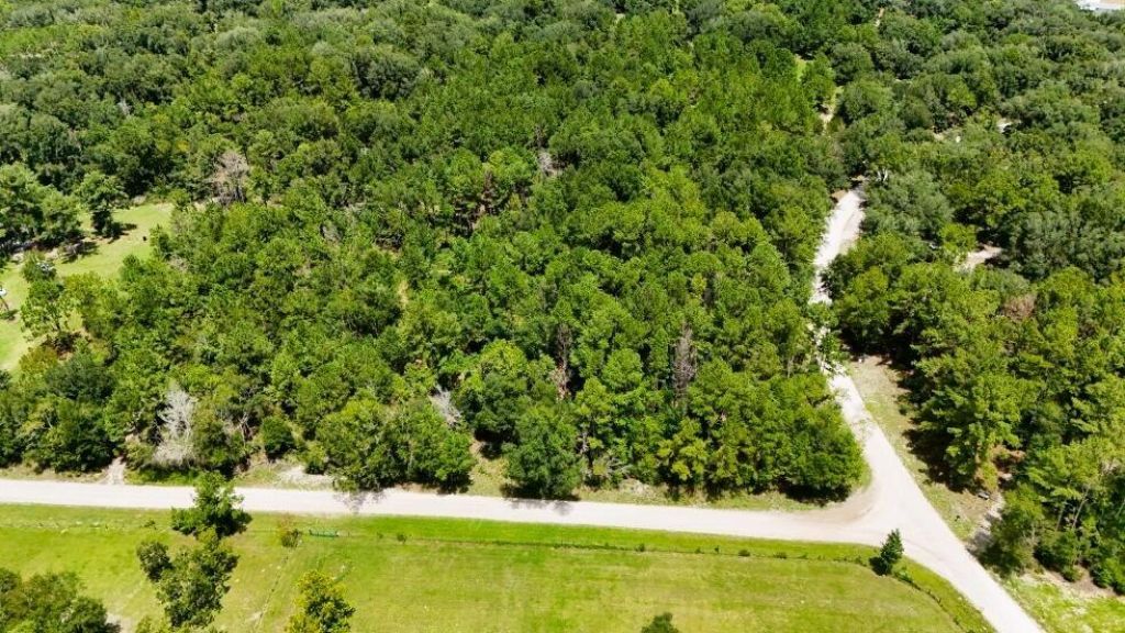 0 160th Terrace, Mc Alpin, FL 32062 Photo