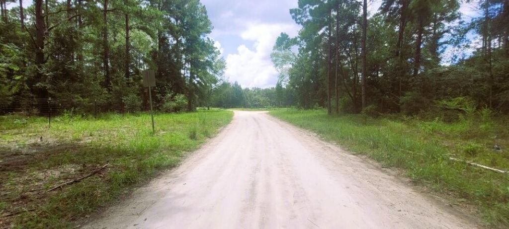 0 160th Terrace, Mc Alpin, FL 32062 Photo