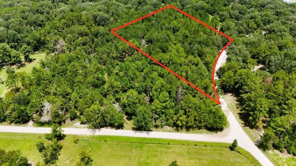 0 160th Terrace, Mc Alpin, FL 32062 Photo