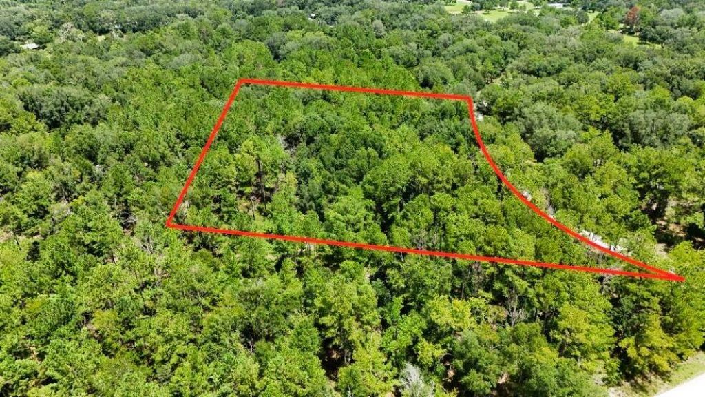 0 160th Terrace, Mc Alpin, FL 32062 Photo