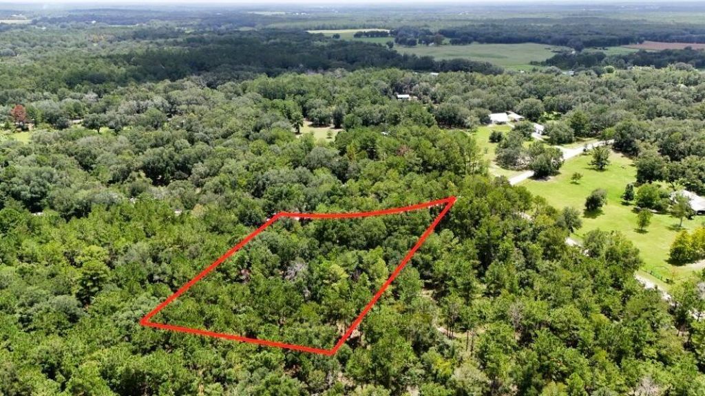 0 160th Terrace, Mc Alpin, FL 32062 Photo