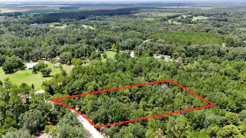 0 160th Terrace, Mc Alpin, FL 32062 Photo