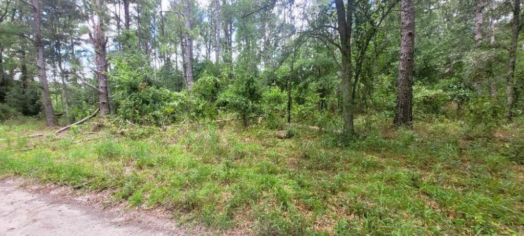 0 160th Terrace, Mc Alpin, FL 32062 Photo