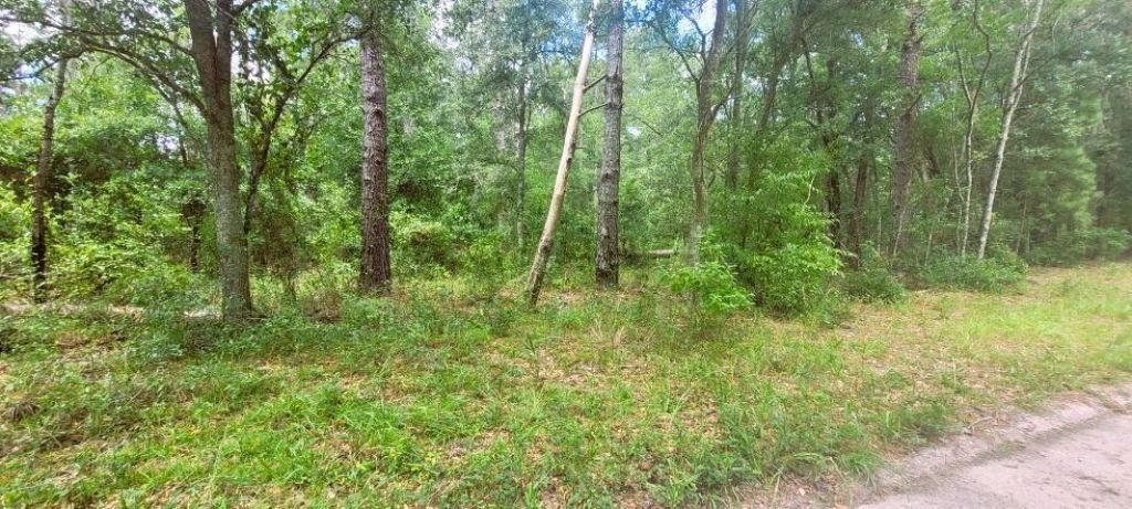 0 160th Terrace, Mc Alpin, FL 32062 Photo