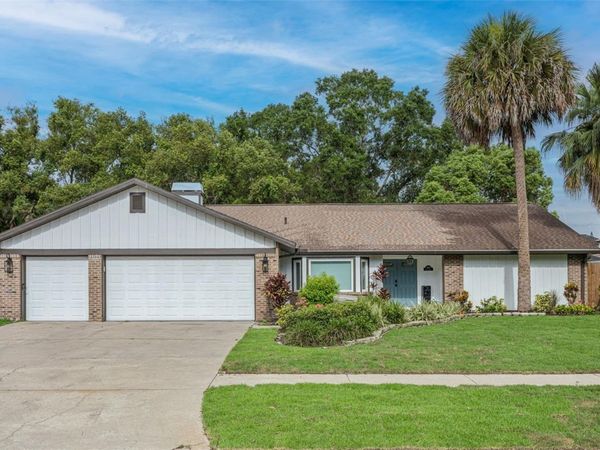 1046 SYLVIA LANE , TAMPA, FL 33613