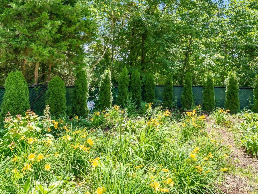 Property Image 63