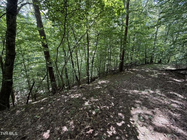 Tbd Mossy Hollow Road, Baneberry, TN 37890