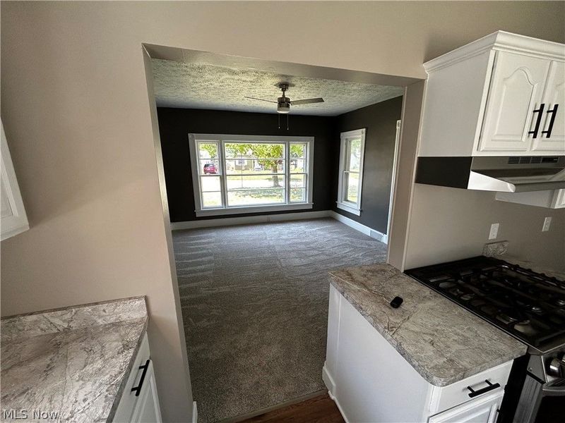 482 Baxter Street, Medina, OH 44256 Photo 7
